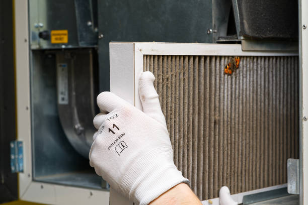 Best Residential Air Duct Cleaning  in Winterville, NC